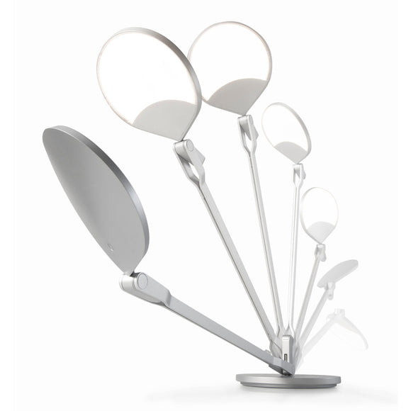 Splitty Pro Desk Lamp