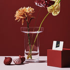 Limelight Rose Vase