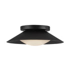 Cleo LED Wall Sconce