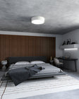 Dalton Flush Mount