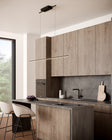 Vega Minor Pendant Light
