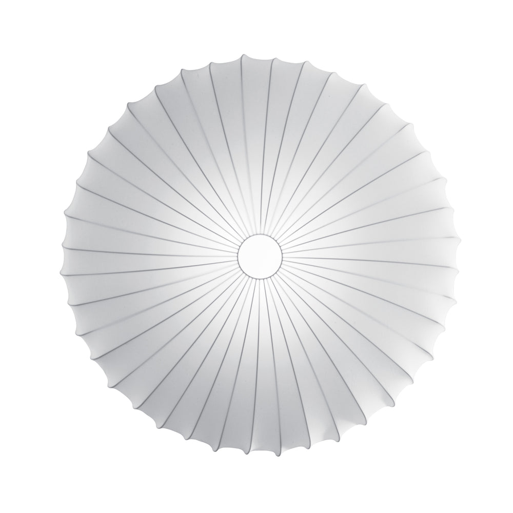 Muse Wall/Ceiling Light