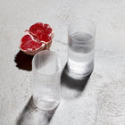 Circle Tumbler Glass (Set of 2)