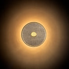 Loomo Wall Sconce