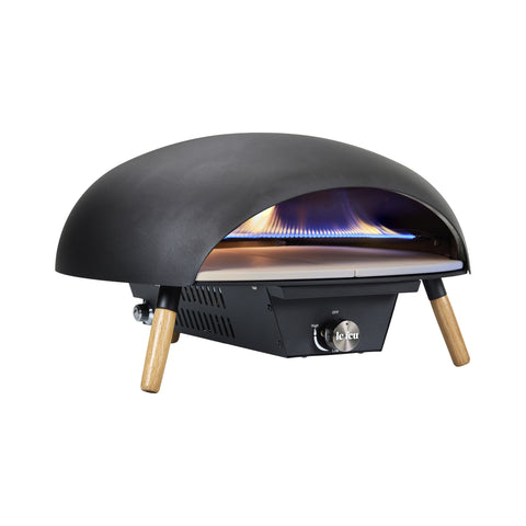 Turtle Gas Powered Pizza Oven