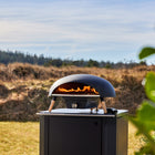 Turtle Gas Powered Pizza Oven