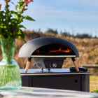 Turtle Gas Powered Pizza Oven