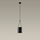 Attic Pendant Light