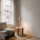 Attic Pendant Light