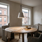 Attic Pendant Light