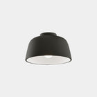 Miso Flush Mount