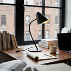 Organic Table Lamp