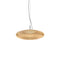 Plat Pendant Light  option Amber