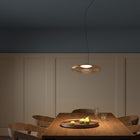 Plat Pendant Light