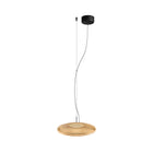 Plat Pendant Light