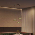 Plat Pendant Light