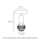 Crystal Bulb Semi Flush Mount