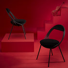 Musico Dining Chair
