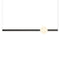 Orion Globe Linear Pendant Light  option Polished Gunmetal