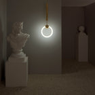 Ring Pendant Light