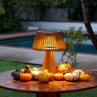 Enoki Solar Portable Outdoor Table Lamp