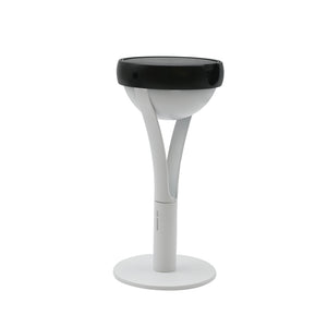 Tish Solar Portable Outdoor LED Table Lamp