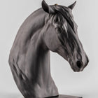 Equinus Sculpture