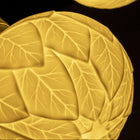 Porcelain Bulb