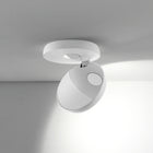 Nautilus Flush Mount