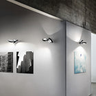 Nautilus Wall Light