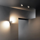 Nautilus Wall Light