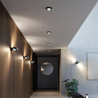 Nautilus Wall Light