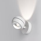 Nautilus Wall Light