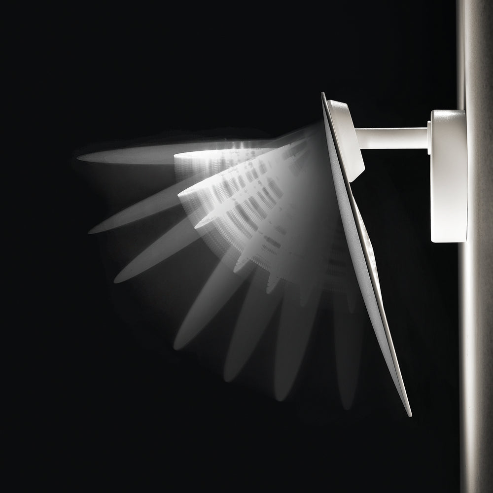 Puzzle Round Wall / Ceiling Light