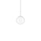 Random Solo 10 LED Pendant Light  option Clear