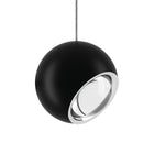 Spider 1 Light Pendant Light