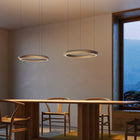 Tidal Pendant Light
