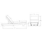 Lollygagger Chaises with Cushions Bundle