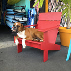 Lollygagger Lounge Chair
