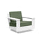 Nisswa Lounge Chair  option Canvas Fern