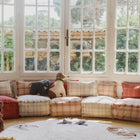Dogs Washable Rug