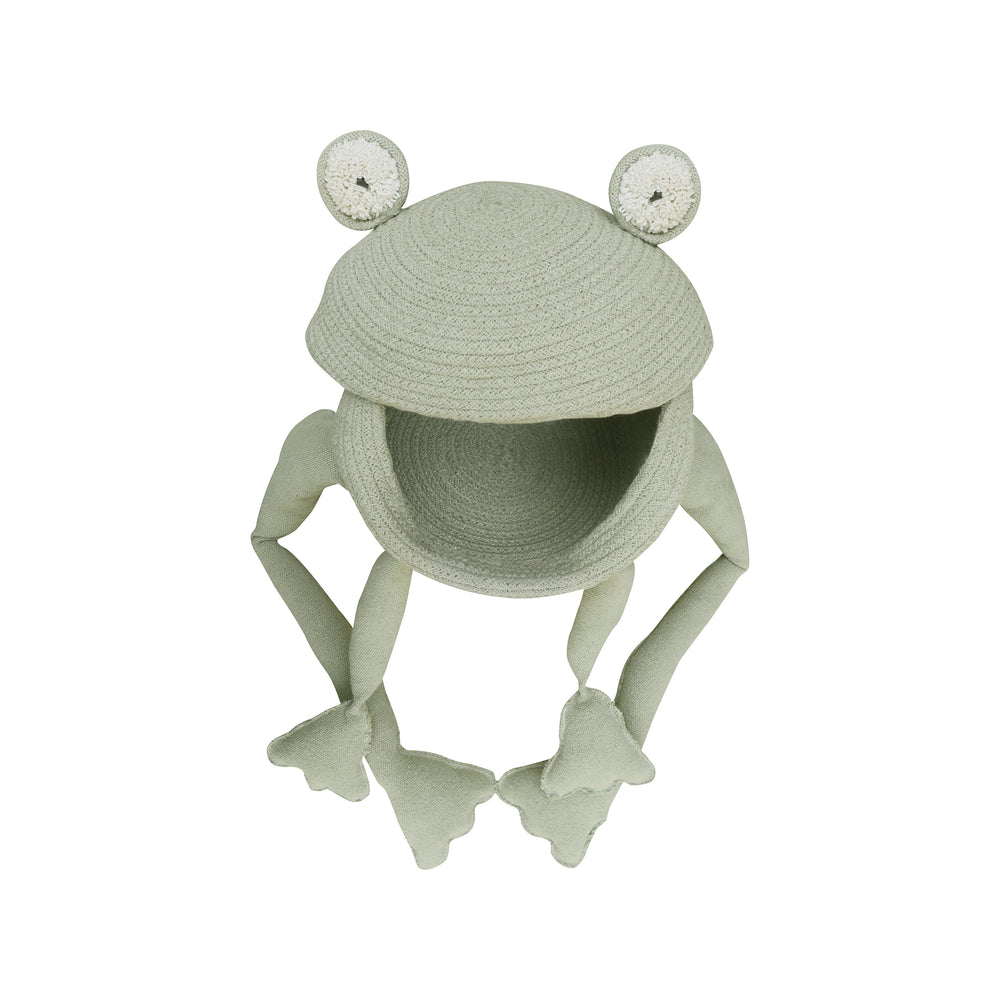 Fred the Frog Basket