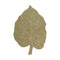 Monstera Washable Rug  option Olive