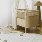 Swan Lake Washable Play Rug