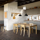 FJ Elements Pendant Light