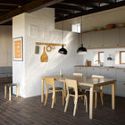 FJ Elements Pendant Light