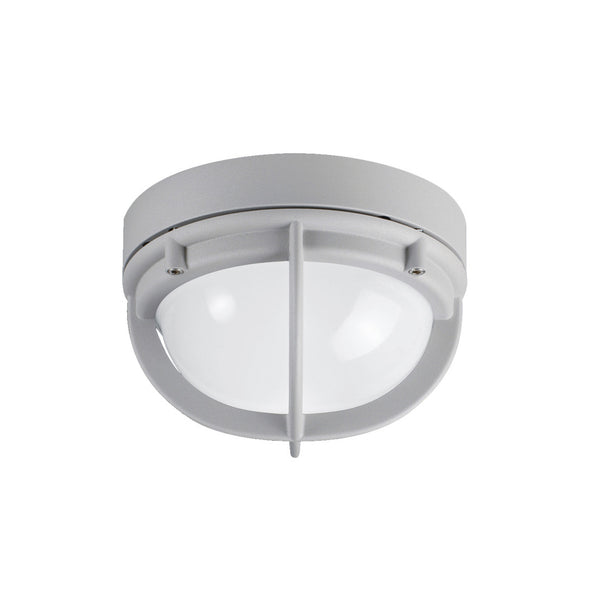 Skot Outdoor Wall or Ceiling Light
