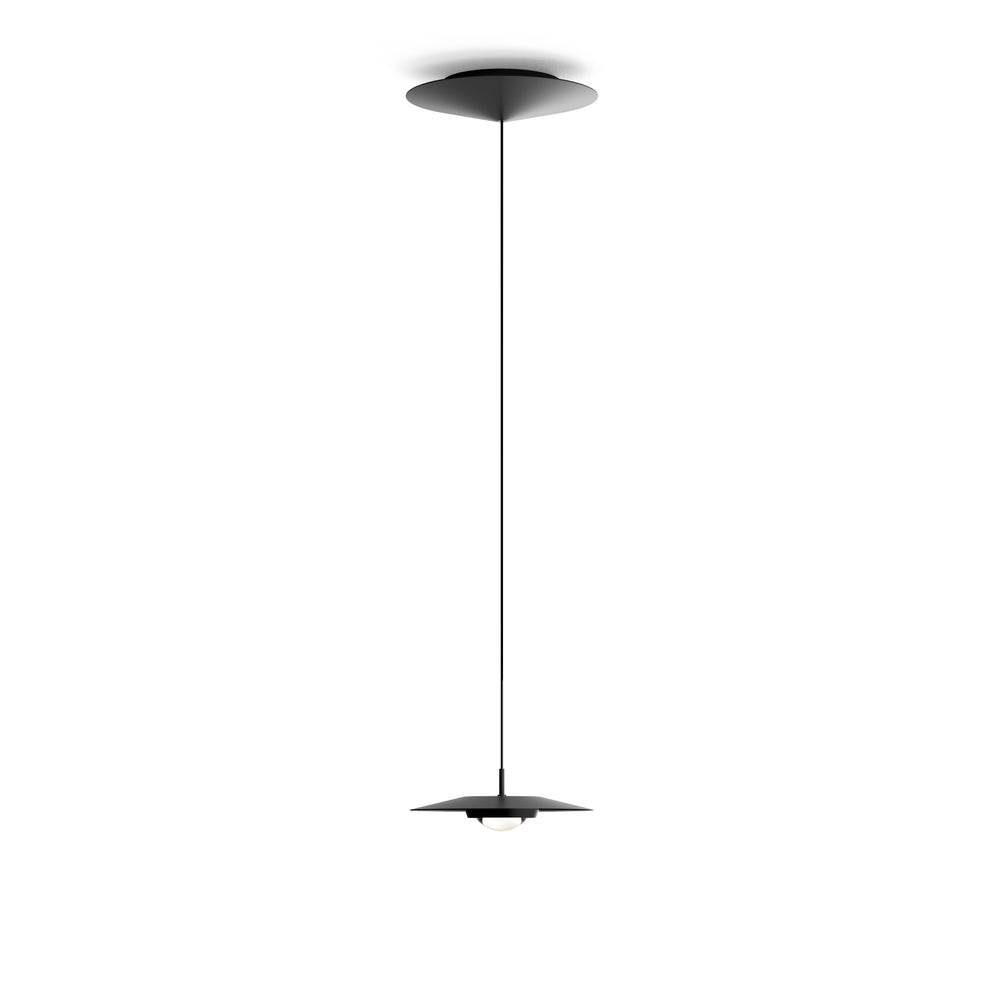 Koine Pendant Light