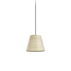 Zeta Conica Pendant Light
