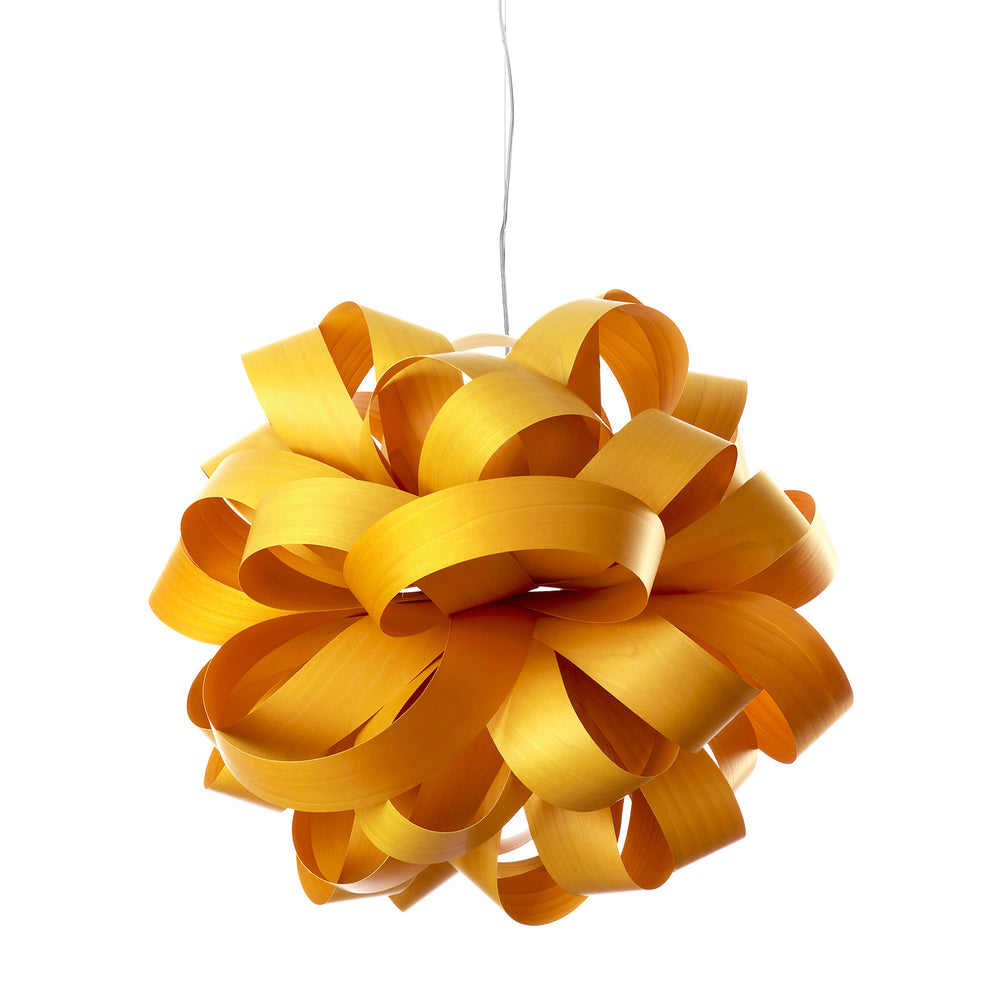 Agatha Bolla Suspension
